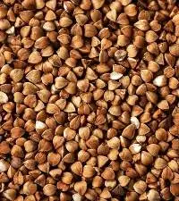 Buckwheat