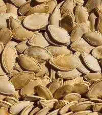 Pumpkin Seeds