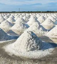 Sea Salt
