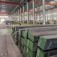 Mold Steel Dies Steel Moulding Steel SKD11