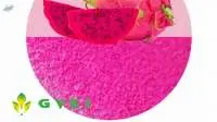 Cosmetic Dragon Fruit Powder