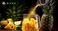 Pineapple Juice powder