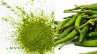 Dehydrated Green Chilli Powder
