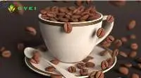 Coffee Powder Instant