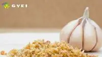 Garlic Flakes
