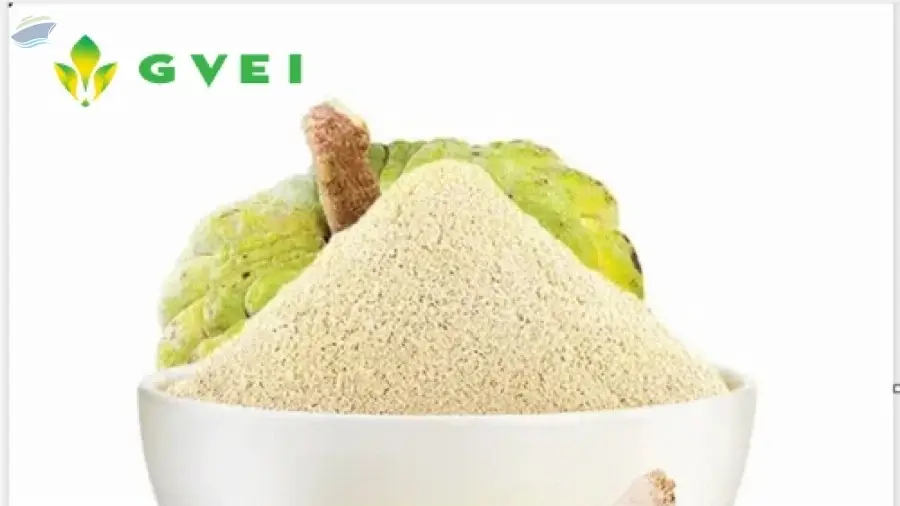 Dehydrated Custard apple powder