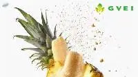 Dehydrated Pineapple powder