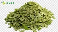 Moringa Dry Leave