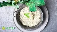 Dehydrated Cabbage Seed powder
