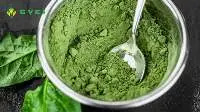 Dehydrated Spinach powder