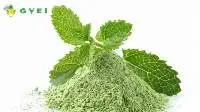 Dehydrated Mint powder