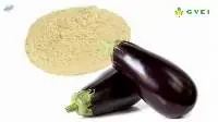 Brinjal powder