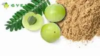 Spray Dried Amla Powder