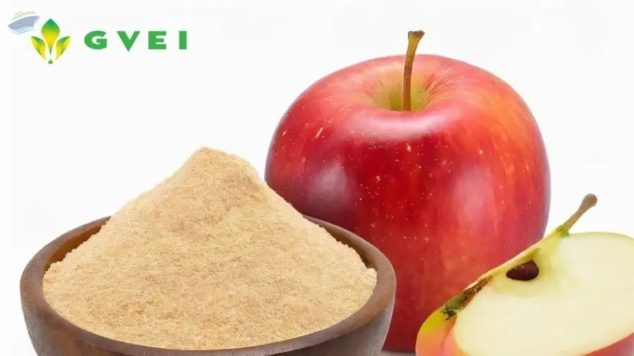 Spray Dried Apple Powder
