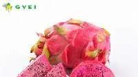 Spray Dried Dragon Fruit Powder