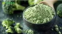 Spray Dried Broccoli Powder
