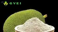 Spray Dried Jackfruit Powder