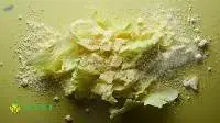 Spray Dried Cabbage Powder
