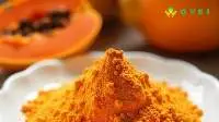 Spray Dried Papaya Raw Powder