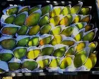 High Quality A Grade Fresh Mangoes