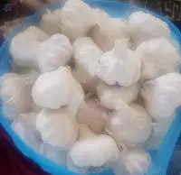 Fresh Garlic