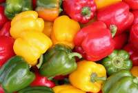 Fresh Colored Bell Peppers