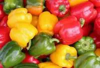 Fresh Colored Bell Peppers