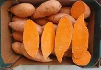 Fresh Sweet Potatoes