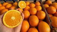 Fresh Valencia Oranges