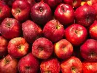 Apples