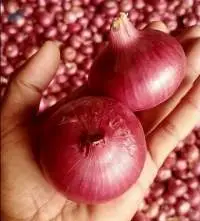 Onion, Potato and Tomato