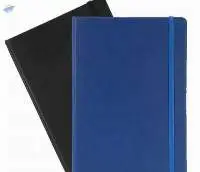 Elastic Diary