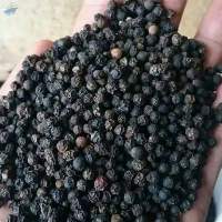 Black Pepper