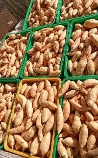 Sweet Potato