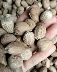 Nutmeg