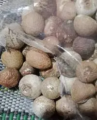 Betel Nuts/ Areca Nuts