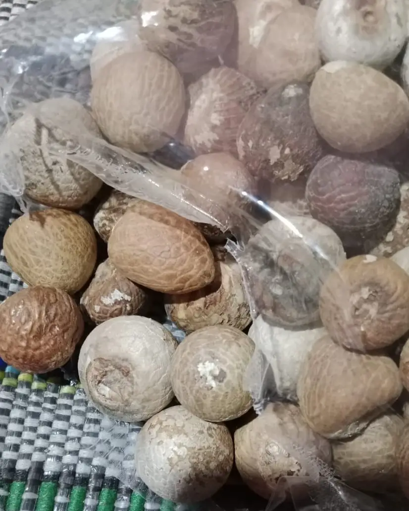 Betel Nuts/ Areca Nuts