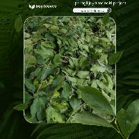Bay Leaves