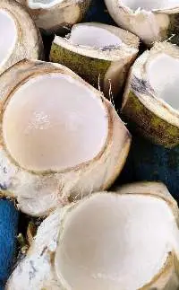 Fresh Young Coconut