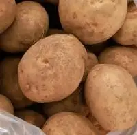  Fresh Potato