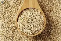Quinoa