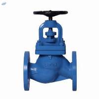 Globe Valve