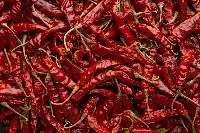 Dry Red Chilli