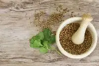 Coriander seeds