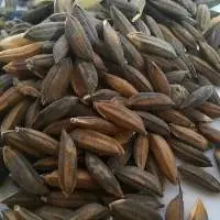 Kalanamak Rice