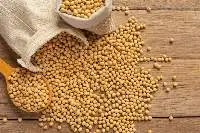 Soybean Seeds