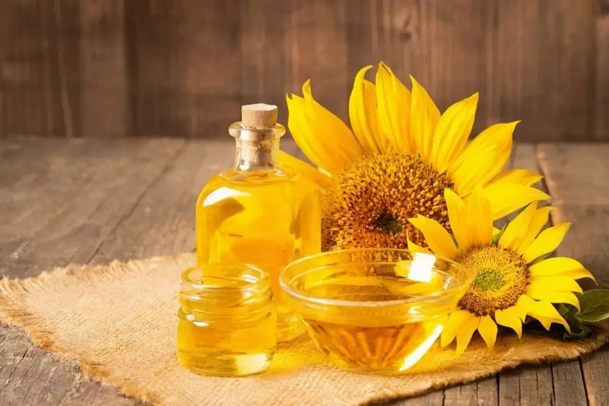 Sunflower Oil