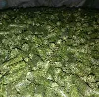 Bulk Top Grade Alfalfa for Animal Feed