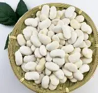 White Kidney Beans / Red Kidney Beans in Stock