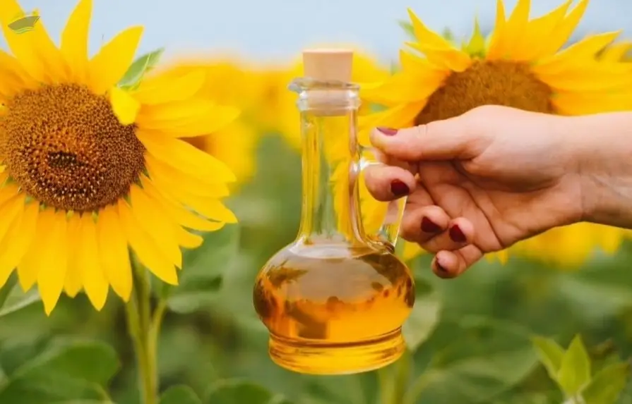 Pure Natural Ingredient Sunflower Oil